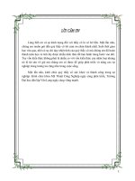 đồ án kiến trúc cảnh quanĐề tài Biệt Thự Phong Cách Tây Nguyên