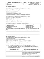 de thi kiem tra giua ky II - nam hoc 2010-2011