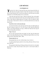 luận văn kinh tế : Thực trạng hoạt động kinh doanh và hoạt động Marketing của công ty TNHH Mỹ Thuật Hà Thái