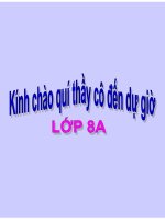 tiet 16 chia da thuc cho don thuc.