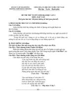 Đề thi thử đại học lần 1 năm 2011 môn Văn - THPT Đoàn Thượng