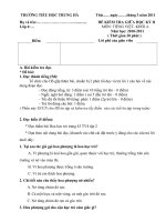 Đề KTDK GKII ( T. Việt 4)