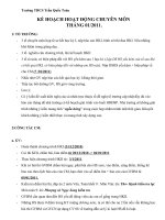 Kế hoạch CM tháng 1-2011