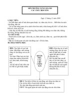 MTXQ NHUNG CHU CHIM NON