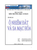 Tiểu luận: Ô nhiễm đất và sa mạc hoá