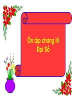 Ôn Tập chương III Đại số 8