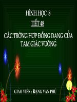 CÁC TRƯỜNG HỢP ĐỒNG DẠNG CỦA TAM GIÁC VUÔNG (HỘI GIẢNG TỈNH QUÁ HAY)