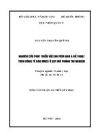 Luận án tiến sĩ Nghiên cứu phát triển vắc xin viêm gan A bất hoạt trên dòng tế bào MRC5 ở quy mô phòng thí nghiệm (TT)