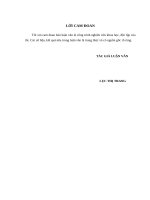 Luận văn thạc sỹ: Một số giải pháp nhằm hạn chế rủi ro tín dụng tại Ngân hàng TMCP Công thương Việt Nam – Chi nhánh Nhị Chiểu