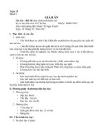 bài 29: Qua trinh hinh thanh loai