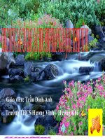 Sử 9 Bài 24 tiết 31