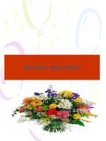 Bai 28- Mien Bac xay dung CNXH