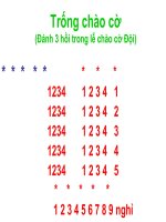 5 bài trống quy định