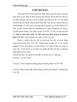 Một số giải pháp nâng cao hiệu quả hoạt động quảng bá thương hiệu TAF JSC