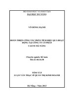 Hoàn thiện công tác phân tích hiệu quả hoạt động tại Công ty Cổ phần Cao su Đà Nẵng