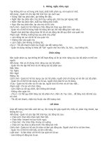 Trò chơi tập thể vui