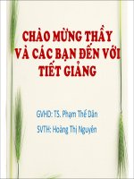 định luật bôi-lo - ma-ri-ót