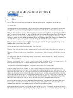 công dụng của tre