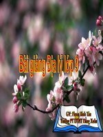 Bai 39. PT tong hop KT va bao ve MT bien-dao (tt)