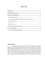 tiểu luận: CÁC NHÂN TỐ TẠO NÊN GIÁ TRỊ THƯƠNG HIỆU COCACOLA