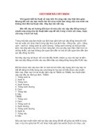 Cách bấm đầu dây mạng