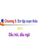Dấu hỏi, dấu ngã