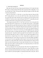 luận văn tốt nghiệp: Đánh giá tác động môi trường DỰ ÁN XÂY DỰNG NHÀ MÁY SẢN XUẤT NÔNG DƯỢC TSC