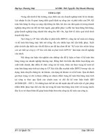 Kế toán bán nhóm hàng sơn nội thất tại công ty CP Xúc tiến đầu tư phát triển DIPCO