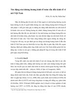 Tác động của khủng hoảng kinh tế toàn cầu đến kinh tế vĩ mô Việt Nam