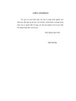 Luận văn thạc sỹ: Nâng cao chất lượng đội ngũ công chức quản lý ngành chứng khoán Việt Nam