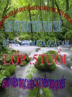 khám phá quả cam