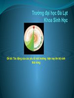 tác động môi trường hiên nay lên hệ sinh thái rừng