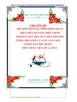 CHUYÊN ĐỀ  ĐỔI MỚI NỘI DUNG, PPDH THEO CHUẨN  KIẾN THỨC KĨ NĂNG, ĐIỀU CHỈNH NỘI DUNG DẠY HỌC, DẠY PHÂN HOÁ ĐỐI TƯỢNG HỌC SINH VÀ NÂNG CAO CHẤT LƯỢNG DẠY HỌC BUỔI 2  MÔN TIẾNG VIỆT LỚP 4, LỚP 5.