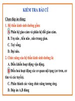 bài 49.cơ quan phân tich thị giác