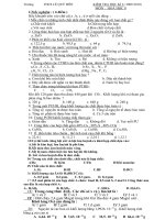 Đề cương ÔN TÂP HKI - HÓA 8