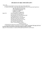 Đề khảo sát và đáp án HSG9