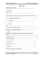 Quá trình phát triển của nhựa PVC và các dự án phát triển tại Việt Nam