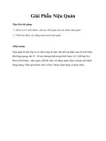 Giải Phẫu Niệu Quản