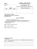 ĐỀ KIỂM TRA TIẾNG VIỆT LỚP 1GIỮA HKII