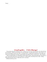 NHỮNG BÀI VĂN 9 (Tham khảo)