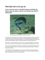 Phát hiện loài cá ăn qua da