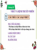 Bai 29 Cấu trúc các loại VIRUT