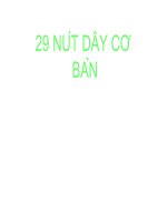 29 nút dây cơ bản