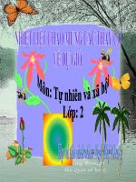 một số loài vật sống duoi nuoc