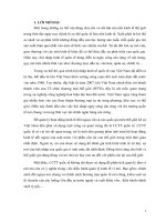 Tiểu luận môn tài chính quốc tế Phân tích cán cân thanh toán quốc tế