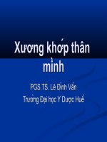 Bài giảng xương khớp thân mình, đại học y dược Huế