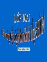 BIỂU ĐỒ THỐNG KÊ 10