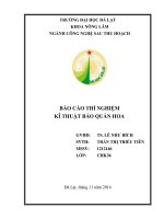 Báo cáo thí nghiệm kĩ thuật bảo quản hoa