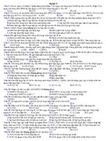 Bộ Đề Thi Tốt Nghiệp 11 - 20