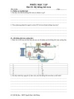 Phiếu học tập - Bài 25